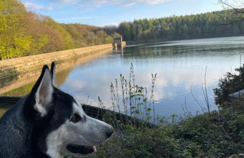 The Corner House - Foto 25