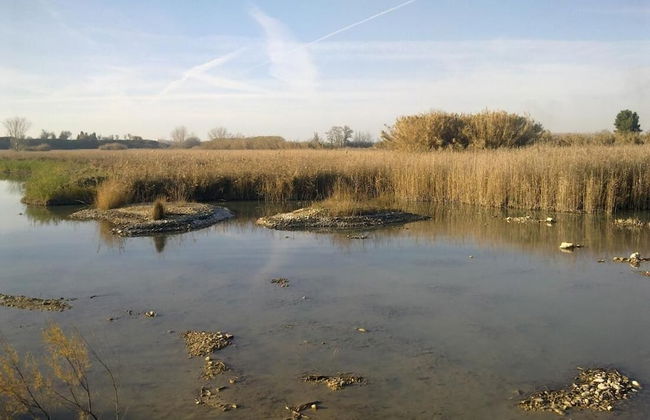 Rural House Near Zaragoza - Foto 23