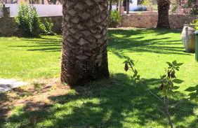 Flisvos Rooms - Photo 49