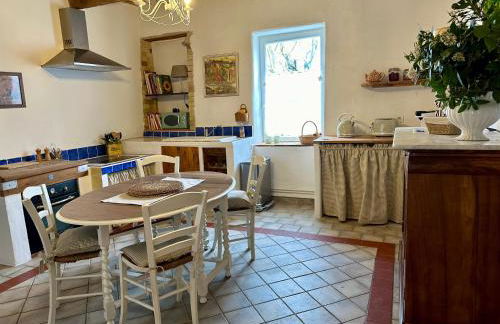 Mas de la Sacristière - Photo 59