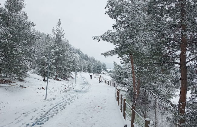 Gunes Thermal Hotel - Foto 37