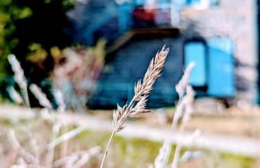 Appartement calme style bohème chic - Foto 23