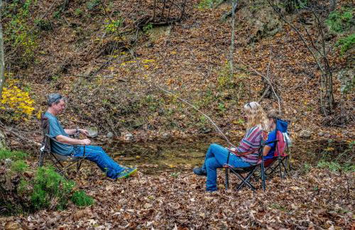 Overlook at Sleepy Creek -- Sleepy Creek Frontage, Secluded, Grill, Fire Pit, Deck, Family Friendly, Game Room, Fishing, Hammock, View, Fireplace - Foto 72