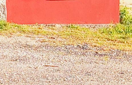 Solar do Prazo - Foto 78