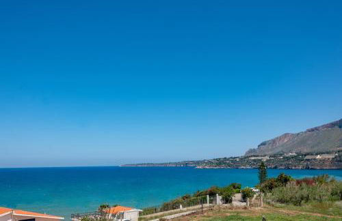 Butterfly House - Photo 44