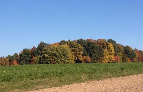Ferienwohnung Waldblick - Foto 22