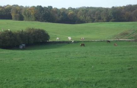 Gite Du Colombier - Foto 32
