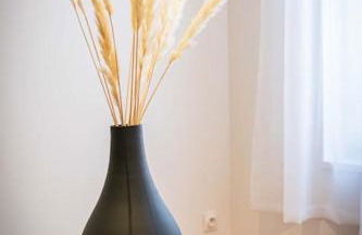 L'Albatros 007 - Hypercentre * Cosy * Wifi - Foto 14