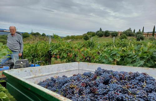 Agriturismo La Bulletta - Foto 76