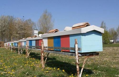 Antico Casale dei Sogni agriturismo - Foto 33