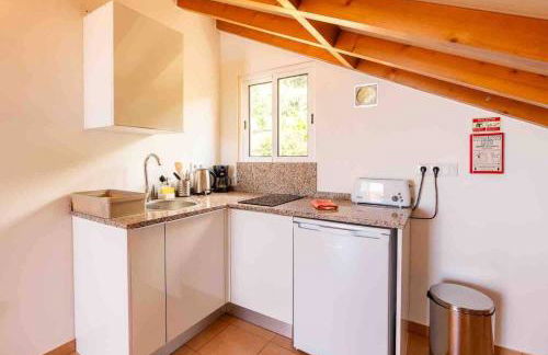 Apartment 1BR Hills over Ponta do Sol, sea view - Foto 14