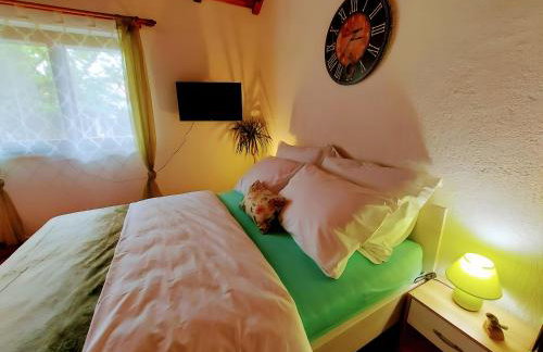 Studio apartman Buteo - Photo 20