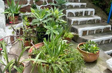 Marvellous Malaga Mediterranean and Mountain Views - Photo 13