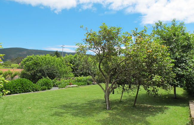 Senhor do Socorro - Foto 26