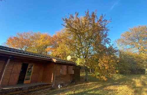 Chalet en bois sur grand parc arboré tout proche de l océan - Foto 30