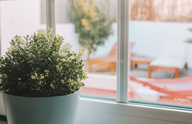 36 - Sobral Guesthouse - Photo 27