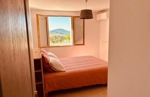 Mas de la canopée-Luberon - Foto 42