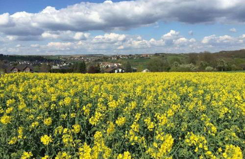 One-bedroom apartment - Foto 28