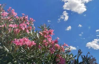 Serendipity - Foto 13