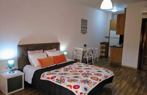 Apartamento Domingo Lozano - Foto 20