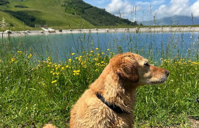 Apart Hotel Adelboden am Dorfplatz - Foto 21