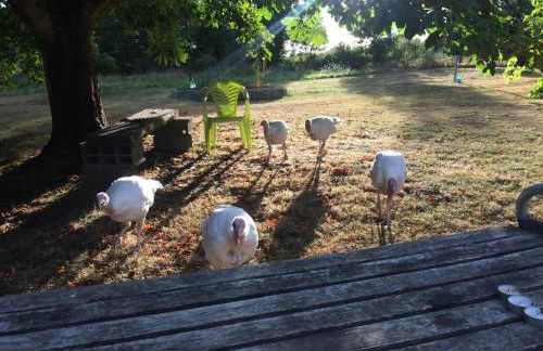 GÎTE Les Buis - Foto 18