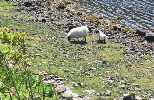 The Causeway - Foto 33