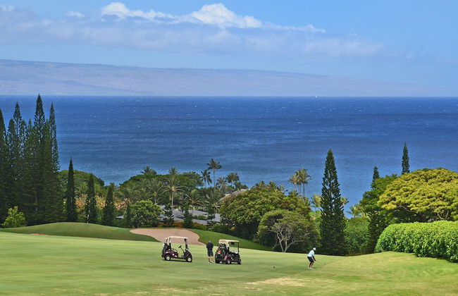 Kapalua Ridge Villas 1414 - Foto 46