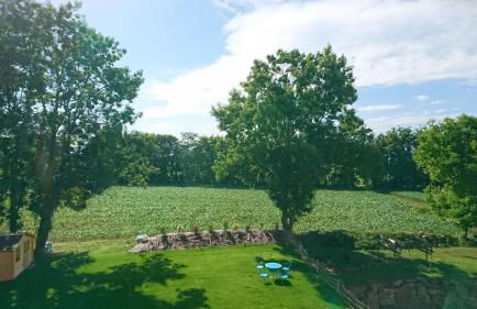 Le Moulin d'Oscar & Spa - Mulhouse Nord - Foto 101