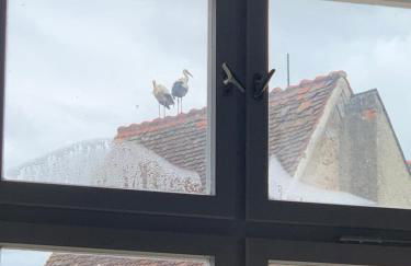 Cozy apartment in a historic house - Foto 17