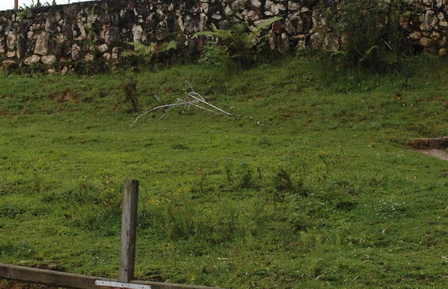 Ranch Le Montcel - Photo 12