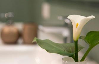 House Domusella - Photo 12