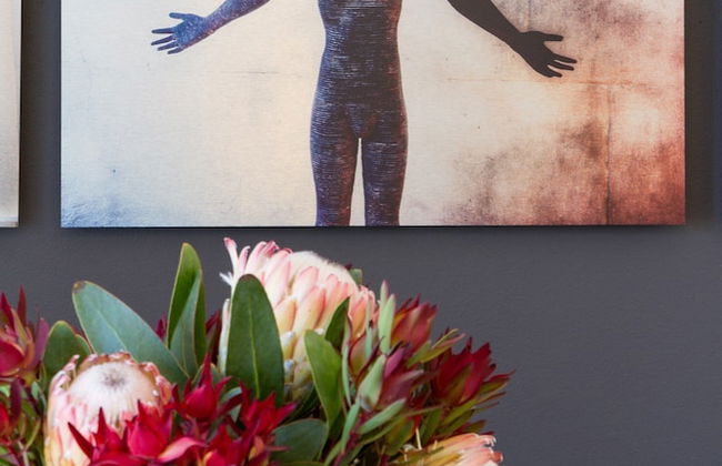 WINK Quiver Tree - Foto 34