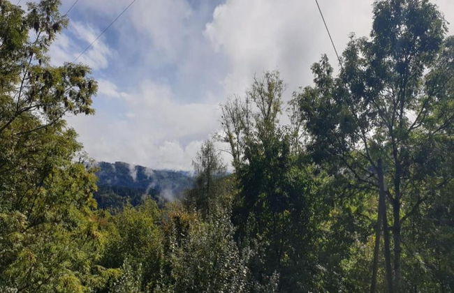 Apartment in Kleines Wiesental - Foto 39