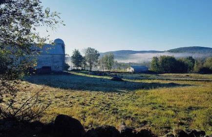 Deer Valley Retreat, Lovely Log Cabin with Fireplace & Garden Views- Perfect for a Relaxing Getaway! - Foto 70
