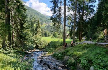 Tonale Ski-in AlpView Studio - Foto 26