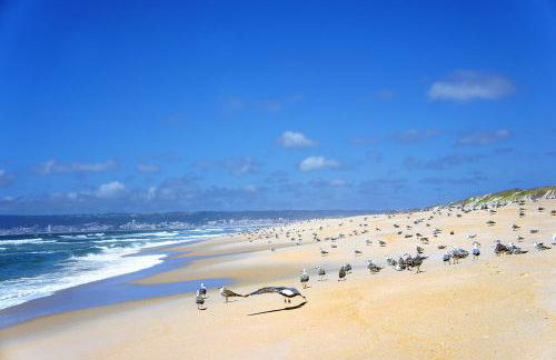 Casa na Areia - Foto 42