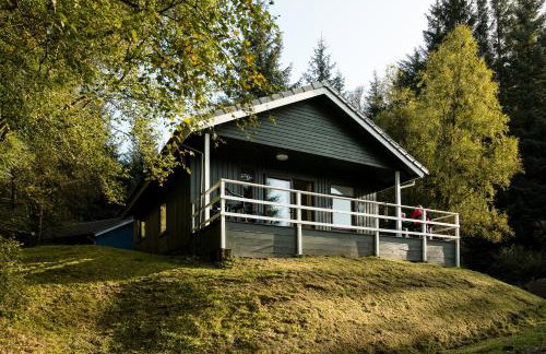 Osprey Lodge with river and mountain view - Foto 27
