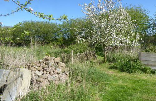 Erholung auf dem Land zwischen Ostsee und Schlei - Foto 39