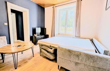 T3 Nature et Balnéothérapie - Photo 16