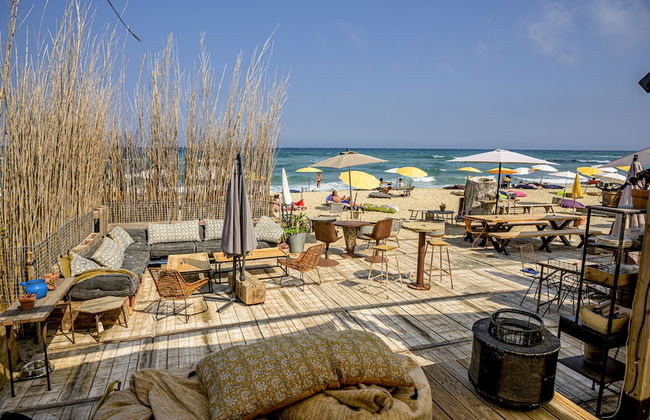 Domaine de Puychêne - Foto 72