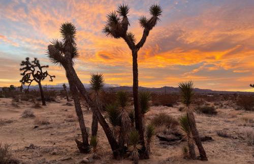 Desert Oasis - Firepit, Stargazing, Kitchen Essentials, 5 Acres, & Joshua Trees - Sleeps 6 Comfortably, 7 with Sofa, 8 Maximum - Foto 17