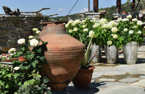 Μακρινίτσα Αλώνια - Foto 24