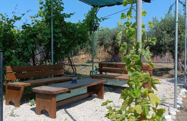 Alonia Summerhouse in Fanes - Foto 32