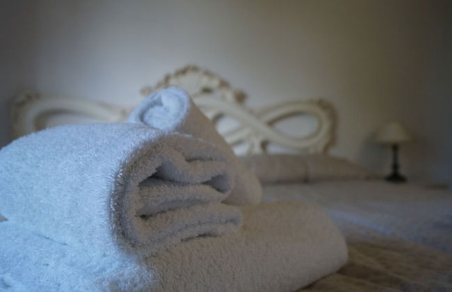 Villa Panconesi - Photo 19