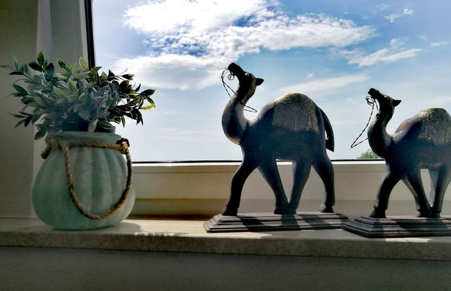 Spa Residence Seibold - Foto 4