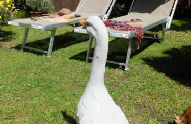 Appartamento con giardino a 5 minuti dal mare - Foto 23