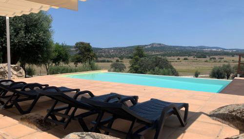 Almojanda 3 olive tree - Foto 3