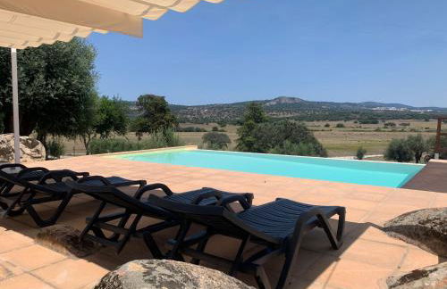 Almojanda 3 olive tree - Foto 3