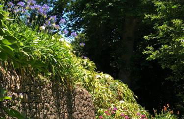 Quintinha de Palmyra - Foto 41